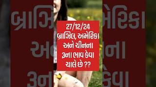 અમેરિકાનો કપાસ કેટલામાં| live cotton trading price in BOTAD APMC,kapas Na bhav,