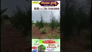 Sq. Yard  Rs. 845/- Near ADDANKI # Sri Gandham, Hybrid Neredu and Mahagani Farm Lands