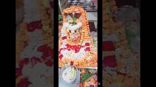 प्रातः आरती दर्शन31/10/24 प्राचीन मंदिर पांडा बाग फर्रुखाबाद