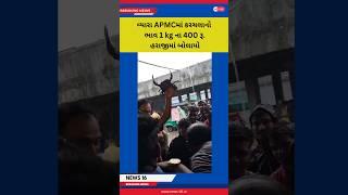 વ્યારા APMCમાં કરચલાનો ભાવ 1 kg ના 400 રૂ. હરાજીમાં બોલાયો | Gujarati news 16