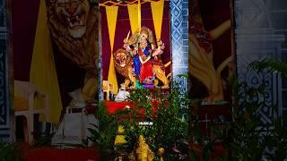 Durga Matha Tree Decoration in Hyderabad | Viral