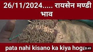 Raisen mandi bhav today || Raisen mandi dhan ka rate || Raisen mandi bhav || Bajaj Bike ||Farmer38