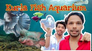 Kurla Fish Market | Cheapest Aquarium In Amchi Mumbai |
