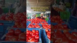 పుంగనూరు 15 కిలోలు 🍅🍅🍅