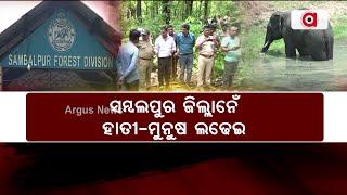 ସମ୍ବଲପୁର ଜିଲ୍ଲାନେଁ ହାତୀ-ମୁନୁଷ ଲଢେଇ | Elephant Issue | Sambalpur