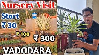 How To Grow Outdoor Plants ¦ Nursery Visit || Best Nursery Of Vadodara || Plant Price And Name