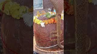 🙏🙏 श्री भूतेश्वर महादेव रुद्राभिषेक मचकुंड  धौलपुर🙏🚩