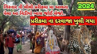 જૂનાગઢ પરિક્રમા સાલુ ? 2024 | Girnar Parikrama 2024 | Girnar Lili Parikrama live 2024