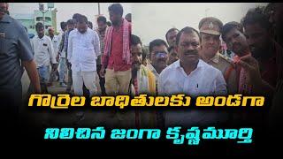 గొర్రెల బాధితులకు అండగా నిలిచిన జంగా కృష్ణమూర్తి | పల్నాడు జిల్లా | PSR NEWS