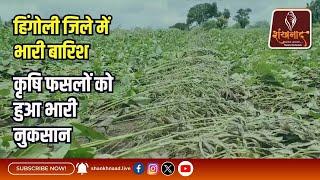 हिंगोली जिले में भारी बारिश से कृषि फसलों को हुआ भारी नुकसान | Shankhnaad News