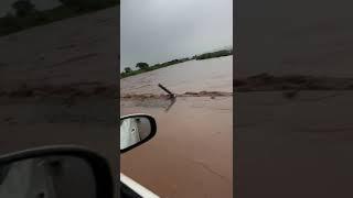 Ghaggar River heavy rain causeway old Ambala Kalka Road