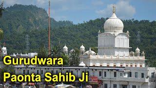 First Time Visiting Paonta Sahib ji Gurudwara