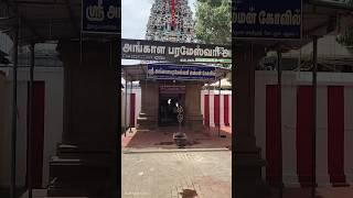 ஶ்ரீ அங்காள பரமேஸ்வரி அம்மன் செங்கோட்டை மானாமதுரை Sri angalaparameshwari Enathisengottai Manamadurai