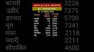 जालना कृ.उ.बा.स. बाजारभाव, 19नोव्हेंबर2024,sardarsons5901