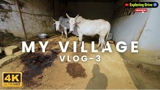 My 1st Village Vlog | Exploring Jharkhand | #pov #ranchi #simdega #jharkhand ExploringdriveINRI