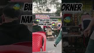 Tandoori Fish Nangal Dam |Billa Fish wala #tandoorifish #fishcurry #silverfish #tandoorichicken 🐠🐠