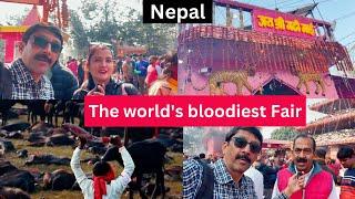 Garhi Mai Mela Nepal 2024 I Biggest Cattle Sacrifice Fair of World I गढ़ी माई मेला नेपाल