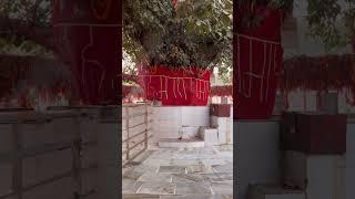 Shivbaba Akbarpur AmbedkarNagar #shorts #shortvideo #ytshorts AmbedkarNagarWale