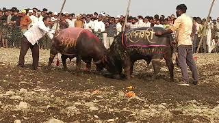 आदेश नेपा 🆚 शिवनगर शंकरपुर हेलो की टक्कर दंगल नेपानगर#burhanpur /31/12/2024/