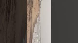 Satisfying old days fishing at sagar nagar beach Vizag or Visakhapatnam