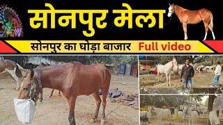 सोनपुर मेला 2024 का घोड़ा बाजार || Sonpur mela 2024 || Horse Market Sonpur Mela 2024 😎