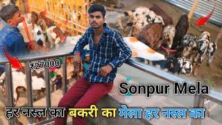 Sonpur Mela | बकरी का मेला हर नस्ल का Bakri ₹27000 Price | Lucky Vikash Kumar