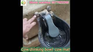 Cow drinking bowl 9677622268