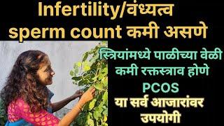 PCOS वरील रामबाण औषधी