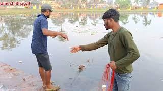 देखिए जाल से कैसे मछली पकड़े जशपुर तालाब में ||Vlog Video || Umesh Bhagat