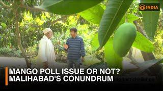 Lok Sabha Elections 2024 | Mango poll issue or not? Malihabad's conundrum