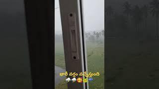 మా భీమవరం లో భారీ వర్షం అండి 🥰🐸☔⛈️❤️🤩👌