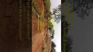 बेमेतरा में 42 ए 16.50 लाख/ए में खरीदे Best Agariculture Land Chhattisgarh।। Cg Best Land