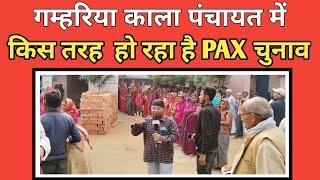 गम्हरिया काला पंचायत में किस तरह  हो रहा है PAX चुनाव  ||Kab Tak News India ||