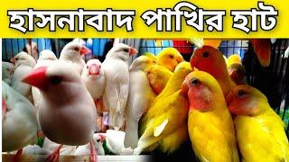 হাসনাবাদ পাখির হাট। hasnabad pakhir hat.bird market in Bangladesh.bird price.pakhir hat.village hat