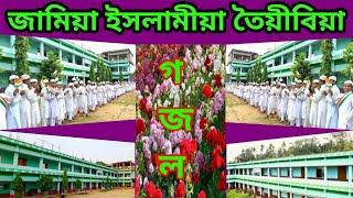 Jamia Islamia Gojol157 || Jamia Tayeebia || জামিয়া ইসলামীয়া তৈয়ীবিয়া হাইলাকান্দি || AhmedHabibi