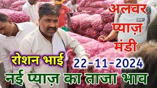 रोशन भाई की फड़ से प्याज़ का ताज़ा भाव अलवर मंडी राजस्थान alwar pyaj mandi bhav today