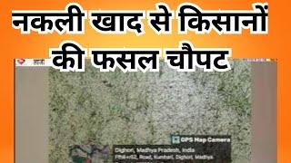 Balaghat|lanji| नकली खाद से किसानों की फसल चौपट|kisan |