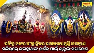 ପବିତ୍ର ମକର ସଂକ୍ରାନ୍ତିରେ ପାରଳାଖେମୁଣ୍ଡି ଜଗନ୍ନାଥ ମନ୍ଦିରରେ ଜଗନ୍ନାଥଙ୍କ ଦର୍ଶନ ପାଇଁ ଭକ୍ତଙ୍କ ସମାବେଶ-GAJAPATI