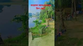 মাদ্রাসা আনওয়ারুল উল ছোট কুষ্টিকুড়ি বীরভূম A to Z Hafiz Zahid ❤️