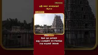 நன்னிலம் ஸ்ரீ மகா காளநாதர் ஆலய நெய் குல தரிசனம் | முழு உருவத்தில் காட்சியளித்த ராஜ மாதங்கி அம்மன்