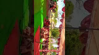 Short Video  संत सम्मेलन सोनाहुला बबेरू बांदा उत्तर प्रदेश 2023