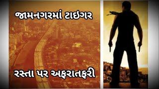 જામનગરમાં બોલીવુડ ઉમટી પડ્યું...