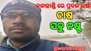 କଳାହାଣ୍ଡି ରେ ପ୍ରବଳ ବର୍ଷା ଚାଷ ସବୁ ନଷ୍ଟ //kalahandivlog //sambarurivlog //odiavlog //worldsvloger