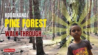 கொடைக்கானல் Pine Forest ஒரு நாள்! |