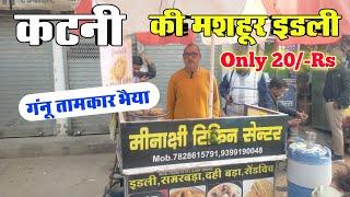 मीनाक्षी टिफिन सेन्टर कटनी || Minakshi Tiffin center Katni || Katni Street Food || Best street food