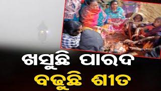 ଖସୁଛି ପାରଦ, ବଢ଼ୁଛି ଶୀତ  | Odisha Reporter