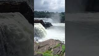 #waterfall #राहतगढ़ Rahatgarh waterfall 13 gate kholegaye किसानों को सिचाई ke liye