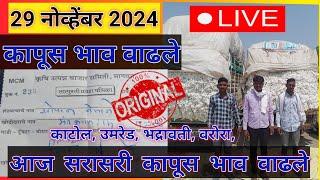 ⭕  29 नोव्हेंबर 2024|सेलू कापूस बाजार भाव आजचे | कापूस बाजार भाव  आजचे |kapus bajar bhav today