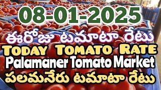 పలమనేరు 🍅🍅🍅టమాటో మార్కెట్ ధరలు 08-01-2025 ||ఈ రోజు టమోటా ధర Palamaner Market||ckgowthamvlogs