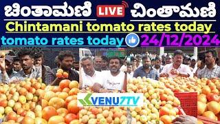 |Chintamani |today |24/12/2024 |today Tomato rates in Chintamani